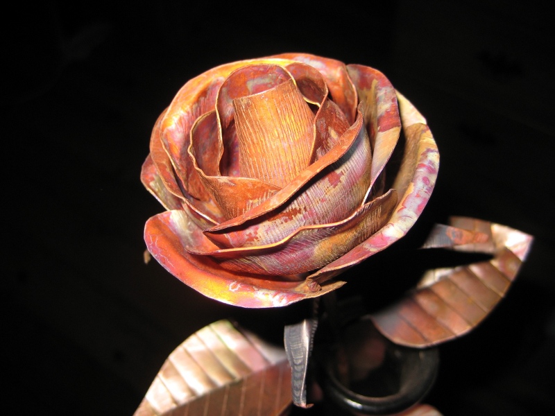 copper rose