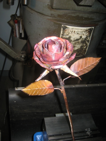 copper rose